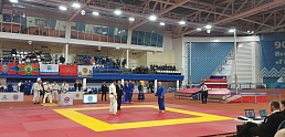 7 турнир по дзюдо